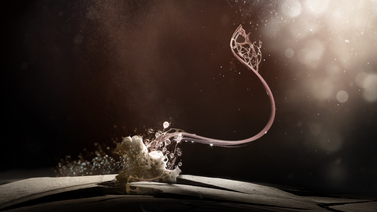 Motionographer® James Levy portfolio update