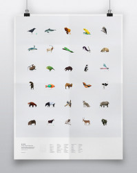 Motionographer® In Pieces: A rare specimen of CSS-based animation