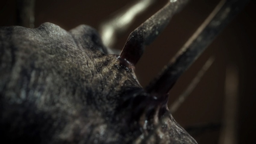 Detail of monster's head