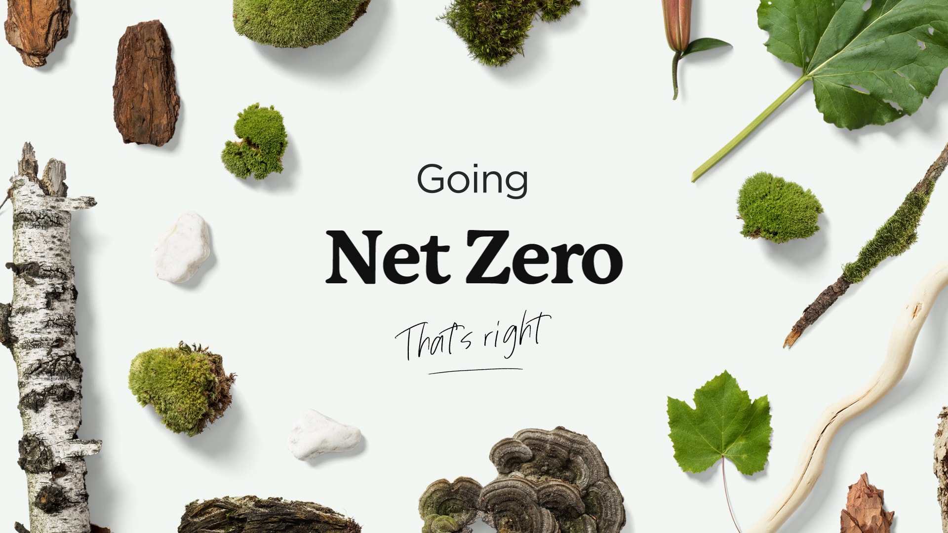 Motionographer® PlusOne® | Edge — Net zero