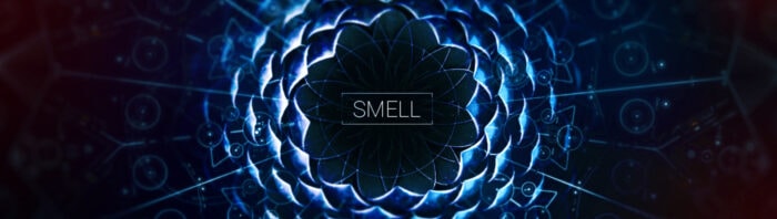 SMELL