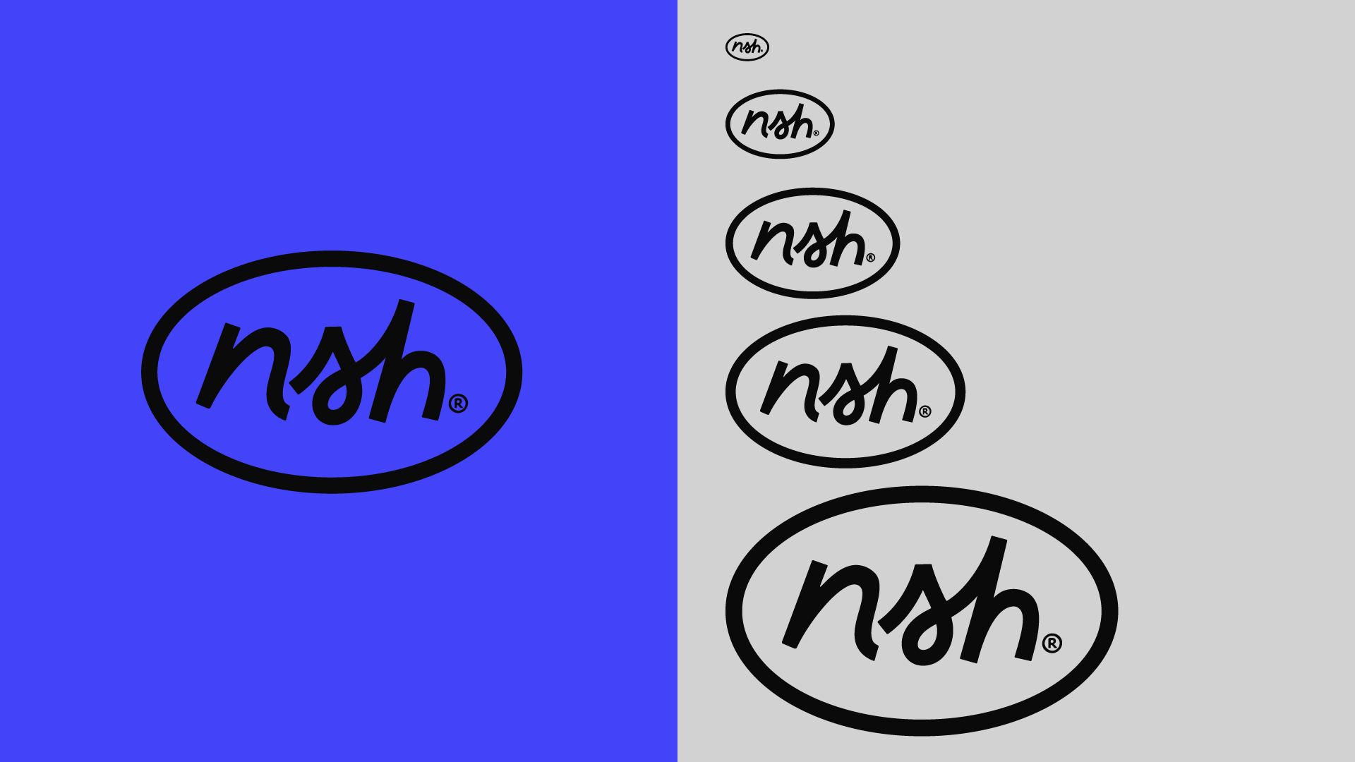 The abbreviated nsh oval mark displayed at a range of sizes.