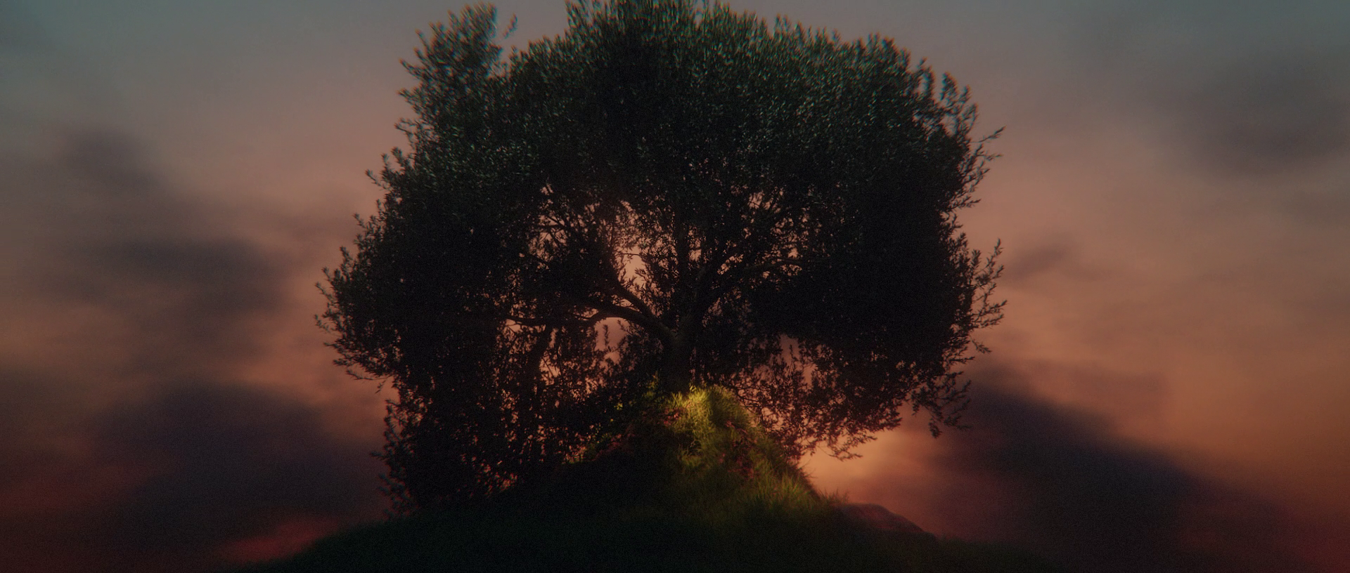 A broad tree silhouetted against a warm sunset sky in The Continuous Thread
